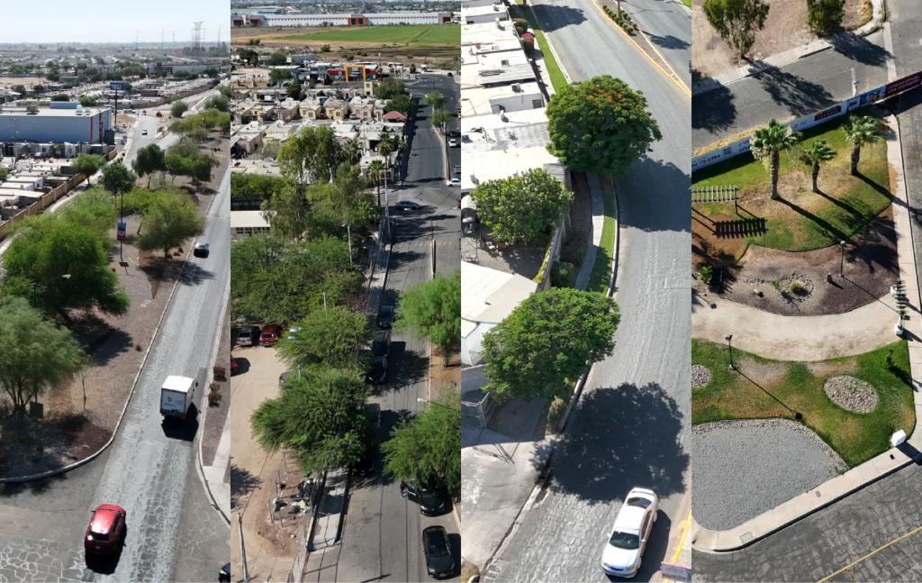Diferentes áreas de Condesa con árboles en vialidades